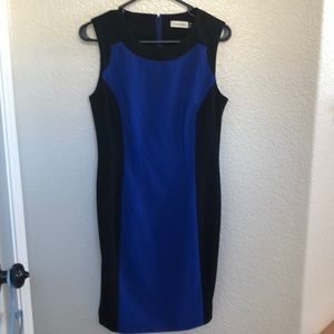 Calvin Klein-Sheath dress. Two colors.